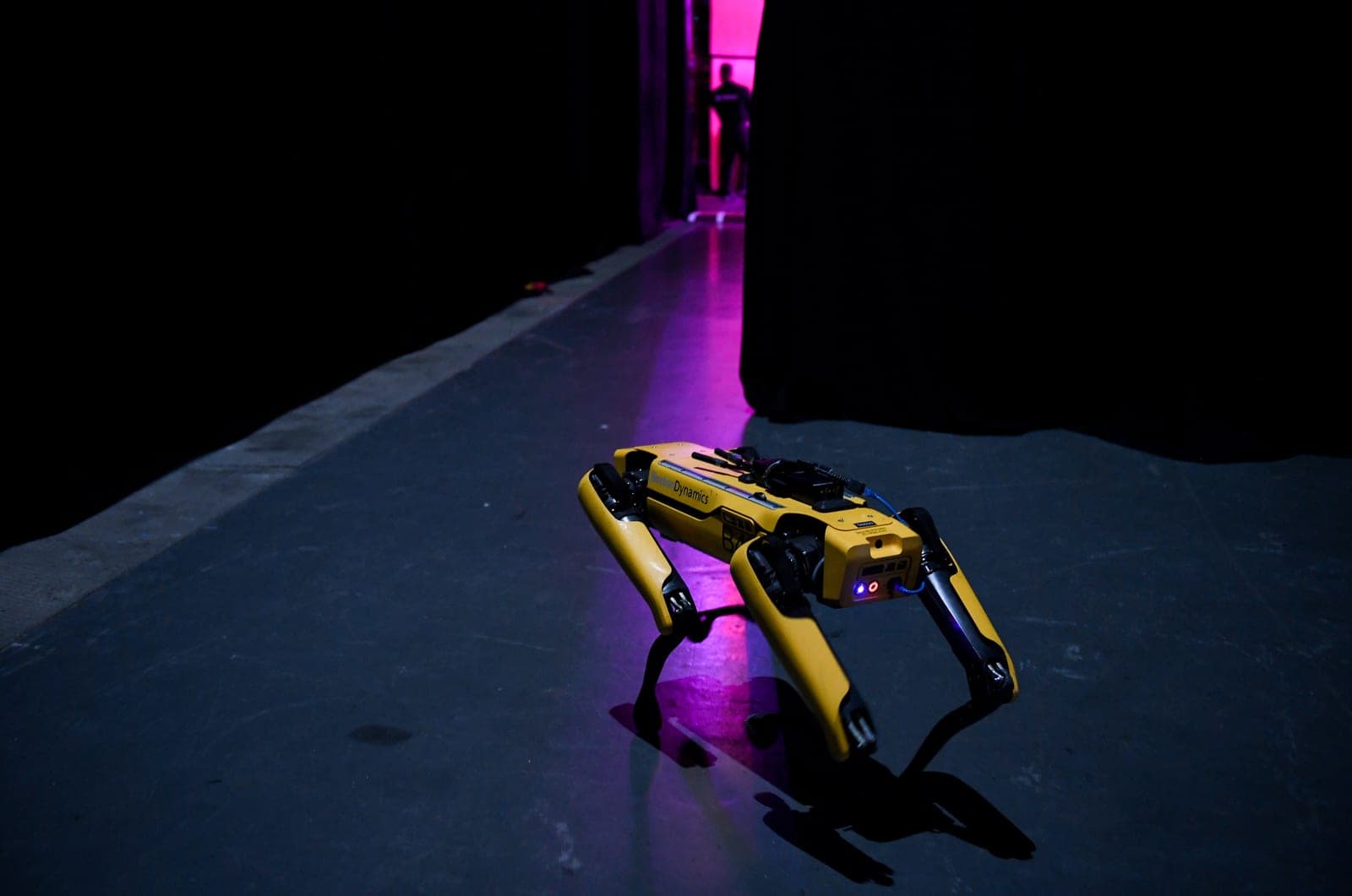 Boston Dynamics Spot Mini